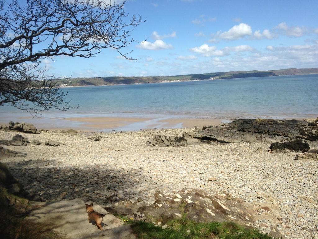 Merlewood Hotel Saundersfoot Esterno foto
